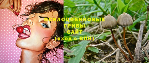 ГАЛЛЮЦИНОГЕННЫЕ ГРИБЫ Зеленокумск