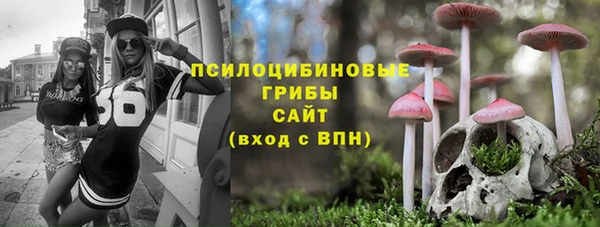 ГАЛЛЮЦИНОГЕННЫЕ ГРИБЫ Зеленокумск