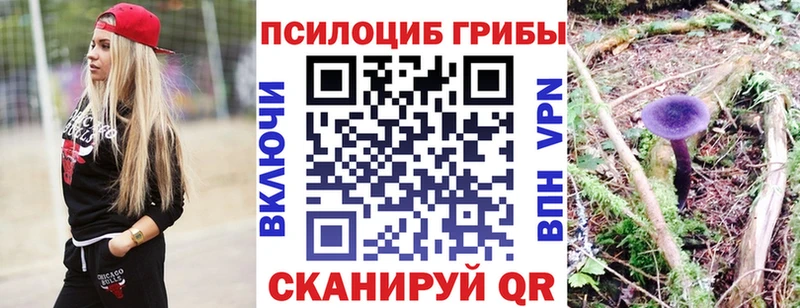 Купить  Гусь-Хрустальный  Псилоцибиновые грибы Psilocybe 